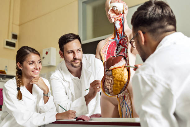 Internal Medicine billing team